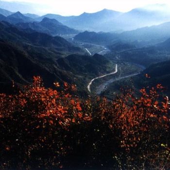 摄影 标题为“秋天的太行山-38” 由半影老人, 原创艺术品