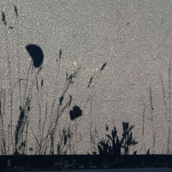 Photographie intitulée "Shadow on the street" par Baomacréation, Œuvre d'art originale, Photographie non manipulée