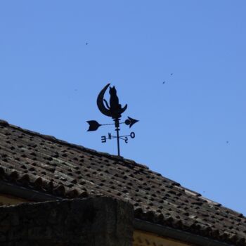 Photographie intitulée "Le rêveur d'oiseaux" par Baomacréation, Œuvre d'art originale, Photographie non manipulée