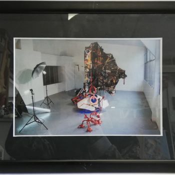 摄影 标题为“Argo(S) - photograp…” 由Baptiste Vanweydeveldt, 原创艺术品, 数码摄影 安装在木板上