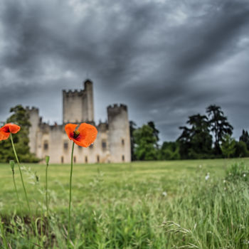 Photography titled "Le chateau" by Olivier Barau, Original Artwork, Analog photography