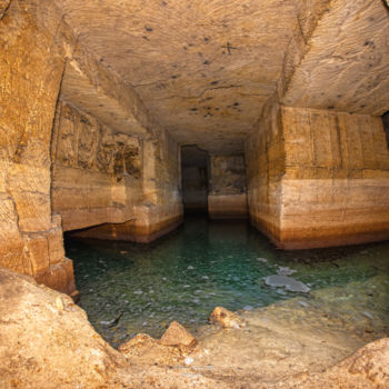 Fotografia intitulada "le monde soutterain" por Olivier Barau, Obras de arte originais, Fotografia digital