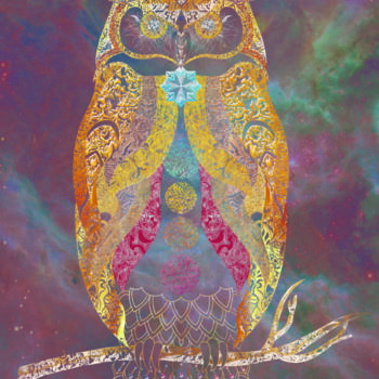 Arte digital titulada "Galaxy Owl" por Barbara Goguier, Obra de arte original, Trabajo Digital 2D Montado en Bastidor de cam…