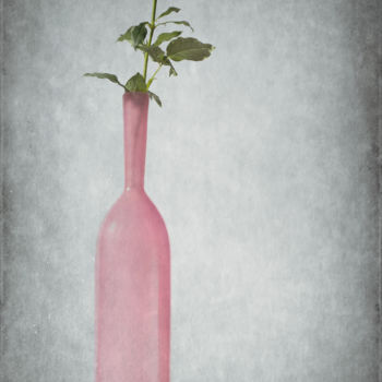 Photography titled "Rosa" by Barbara Corvino, Original Artwork, Digital Photography