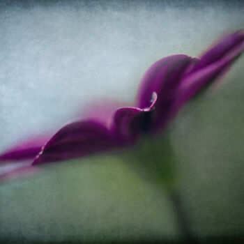 Photography titled "Purple wave" by Barbara Corvino, Original Artwork, Digital Photography