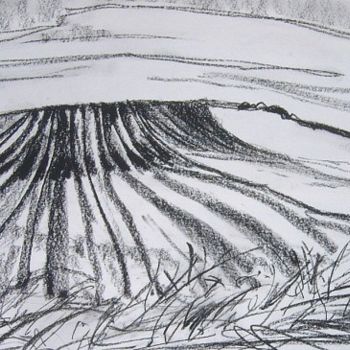Painting titled "The Hill (charcoal)" by Barbara Craig, Original Artwork, Other