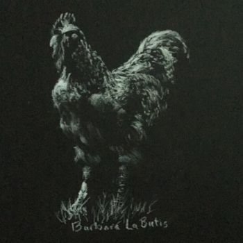 Drawing titled "Rooster" by Barbara Labutis, Original Artwork, Charcoal
