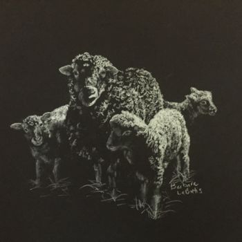 Σχέδιο με τίτλο "Sheep" από Barbara Labutis, Αυθεντικά έργα τέχνης, Κάρβουνο