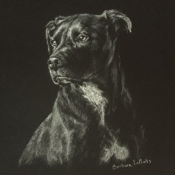 Dibujo titulada "dog" por Barbara Labutis, Obra de arte original, Carbón