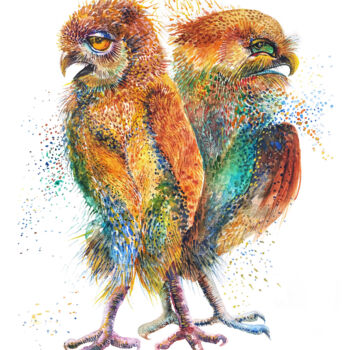 Ζωγραφική με τίτλο "Crazy Owl Gemini" από Barbara Orsolini, Αυθεντικά έργα τέχνης, Ακουαρέλα