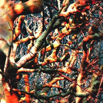 Photographie intitulée "Branches 01b" par Barbu Nitescu, Œuvre d'art originale