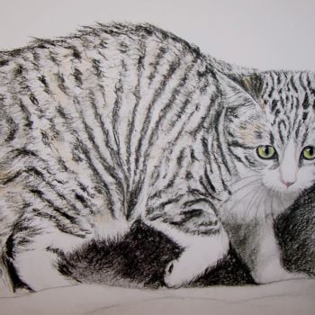 Drawing titled "chat 5" by Karmailo, Original Artwork, Charcoal