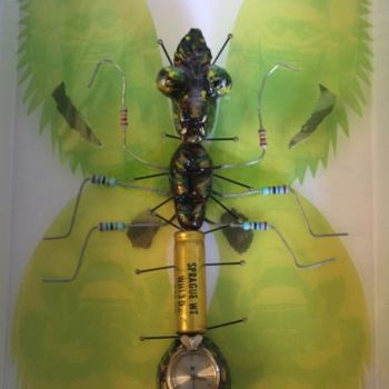 Peinture intitulée "Mantis Clepsydra" par Baron Samdi, Œuvre d'art originale