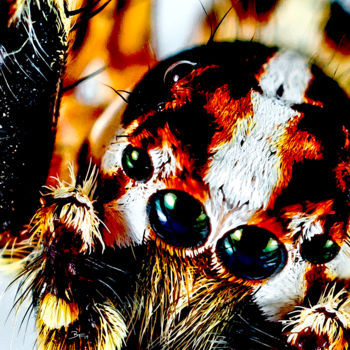Digital Arts titled "Arachnoid Fueled De…" by Barry Farley Visual Arts, Original Artwork, Digital Painting