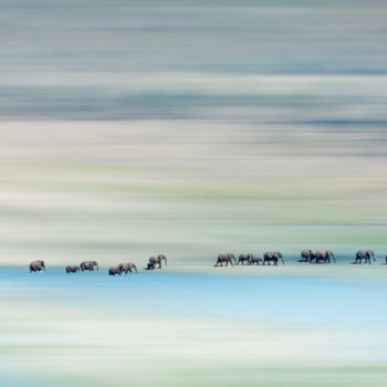 Фотография под названием "Walking elephants 1" - Bart Debo, Подлинное произведение искусства, Цифровая фотография