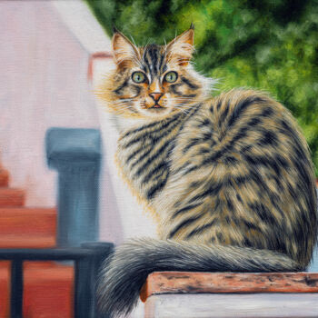 Painting titled "A cat from Mijas To…" by Básant, Original Artwork, Oil