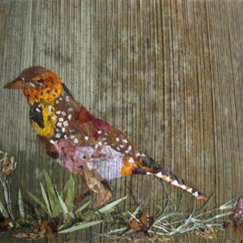 Pintura intitulada "Bird-Barbet" por Basant Soni, Obras de arte originais