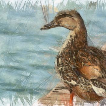 Dessin intitulée "duckpencil.jpg" par Basilo Enesto, Œuvre d'art originale