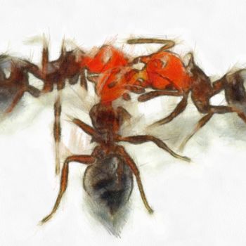 Dessin intitulée "fourmi-pencil.jpg" par Basilo Enesto, Œuvre d'art originale