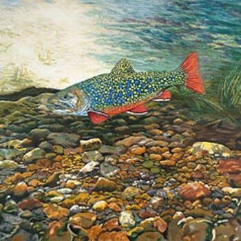 Digital Arts titled "Brook Trout Art Fis…" by Fine Art Prints Fish Flowers Baslee Troutman, Original Artwork, Other