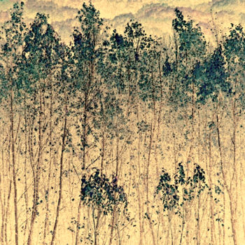 Photography titled "Birches Abstract" by Bavosi Photoart, Original Artwork, Manipulated Photography