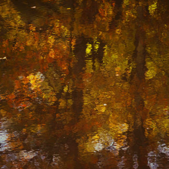 「Autumn in Peterboro…」というタイトルの写真撮影 Bavosi Photoartによって, オリジナルのアートワーク, デジタル