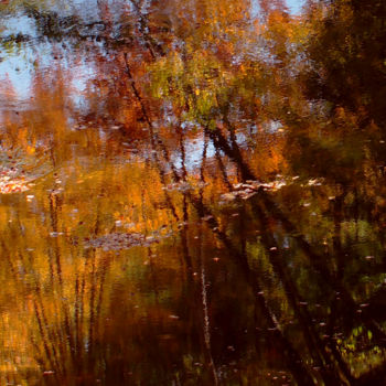 Photography titled "Late Autumn In New…" by Bavosi Photoart, Original Artwork, Digital Photography