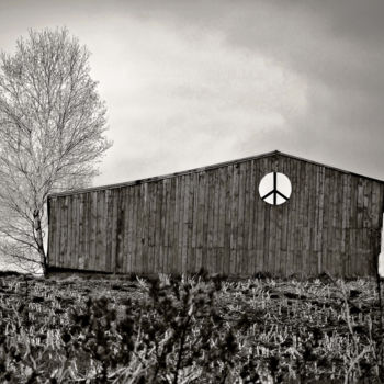 Фотография под названием "Peace Barn Friendsh…" - Bavosi Photoart, Подлинное произведение искусства, Цифровая фотография