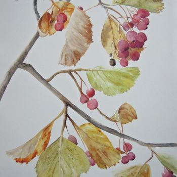 Painting titled "les fruits de l'ali…" by Bernard Camborde, Original Artwork, Watercolor