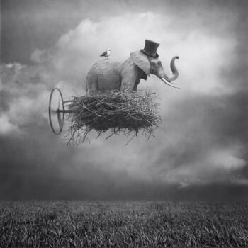 Цифровое искусство под названием "Flying animals I b/w" - Beata Bieniak, Подлинное произведение искусства, Манипулированная…