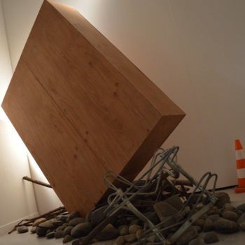 Installation intitulée "Disturbed and shape…" par Béatrice Darmagnac, Œuvre d'art originale, Installation d'art