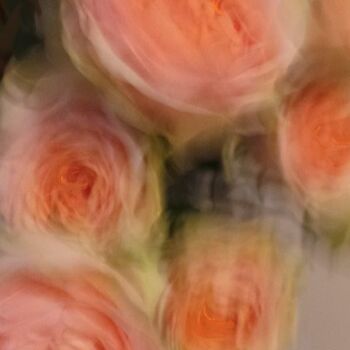 Fotografia intitolato "Roses à la Renoir" da Béatrice Marie Penaud, Opera d'arte originale, Fotografia digitale