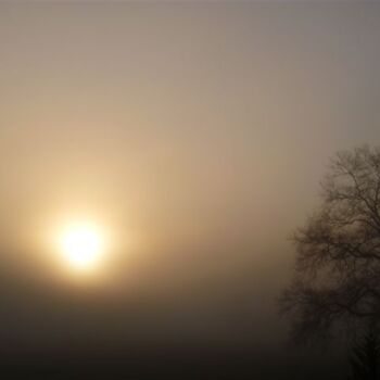 Fotografia intitolato "Matin. Vue de mon j…" da Béatrice Marie Penaud, Opera d'arte originale