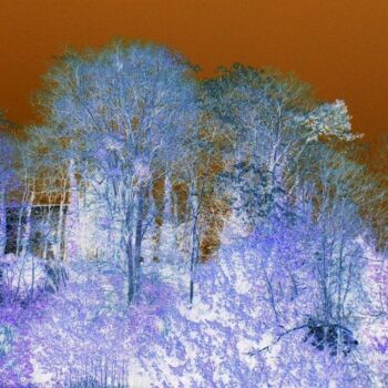 Photography titled "Bois, neige et nuit" by Béatrice Marie Penaud, Original Artwork, Digital Photography