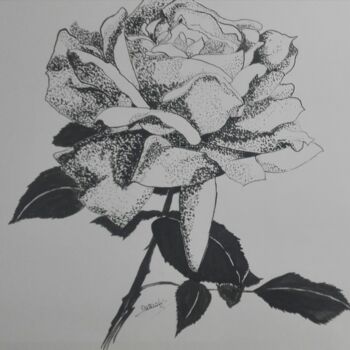 Dessin intitulée "rose en noir et bla…" par Beatrice Auriol Besombes, Œuvre d'art originale, Encre