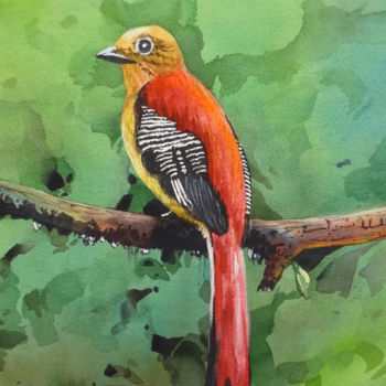 Painting titled "Pajaro" by Beatriz Elena Hoyos H, Original Artwork, Watercolor