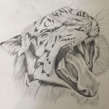 Drawing titled "Tiger" by Yanis, Original Artwork, Pencil