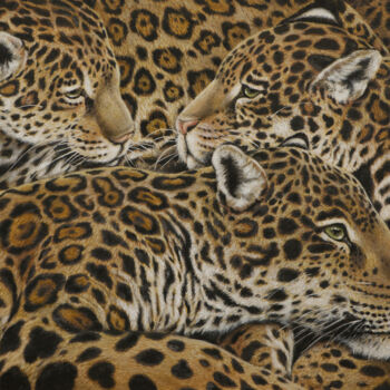 Malerei mit dem Titel "Jaguars au repos ,…" von Behzad Nahed, Original-Kunstwerk, Acryl