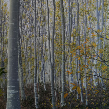 제목이 "In the Beech Forest"인 미술작품 Bekir İSlam로, 원작, 안료 나무 들것 프레임에 장착됨