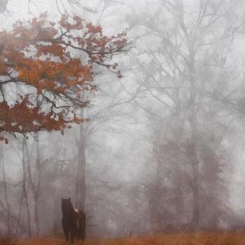 Arts numériques intitulée "brouillard matinal" par Eric Belin, Œuvre d'art originale, Peinture numérique