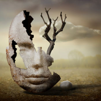 Arte digital titulada "beauty in (of) decay" por Ben Goossens, Obra de arte original, Trabajo Digital 2D