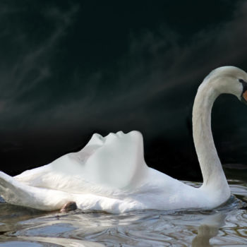 Fotografie mit dem Titel "Floating beauty" von Ben Goossens, Original-Kunstwerk