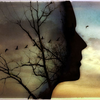 Photography titled "Nature in mind" by Ben Goossens, Original Artwork