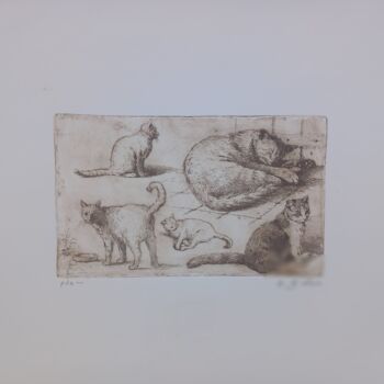 Obrazy i ryciny zatytułowany „I gatti del mio gia…” autorstwa Benito Lizza, Oryginalna praca, Akwaforta