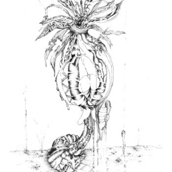 Dessin intitulée "chrysanthemum" par Benoît Gauthier, Œuvre d'art originale, Encre