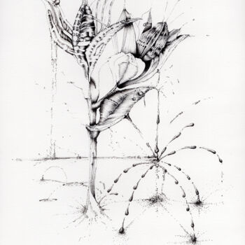 Рисунок под названием "Lys Felloni" - Benoît Gauthier, Подлинное произведение искусства