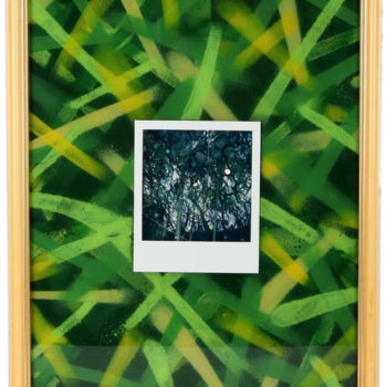 Photographie intitulée "Bamboo shoot 2" par Béopé, Œuvre d'art originale, Photographie manipulée