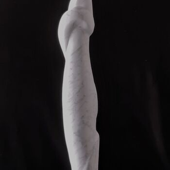 Sculpture titled "Entwined" by Berendina De Ruiter, Original Artwork, Stone