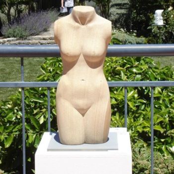 Sculpture intitulée "female torso" par Berendina De Ruiter, Œuvre d'art originale, Pierre