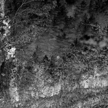Photographie intitulée "sentinelles aux agu…" par Bernard Jacques, Œuvre d'art originale